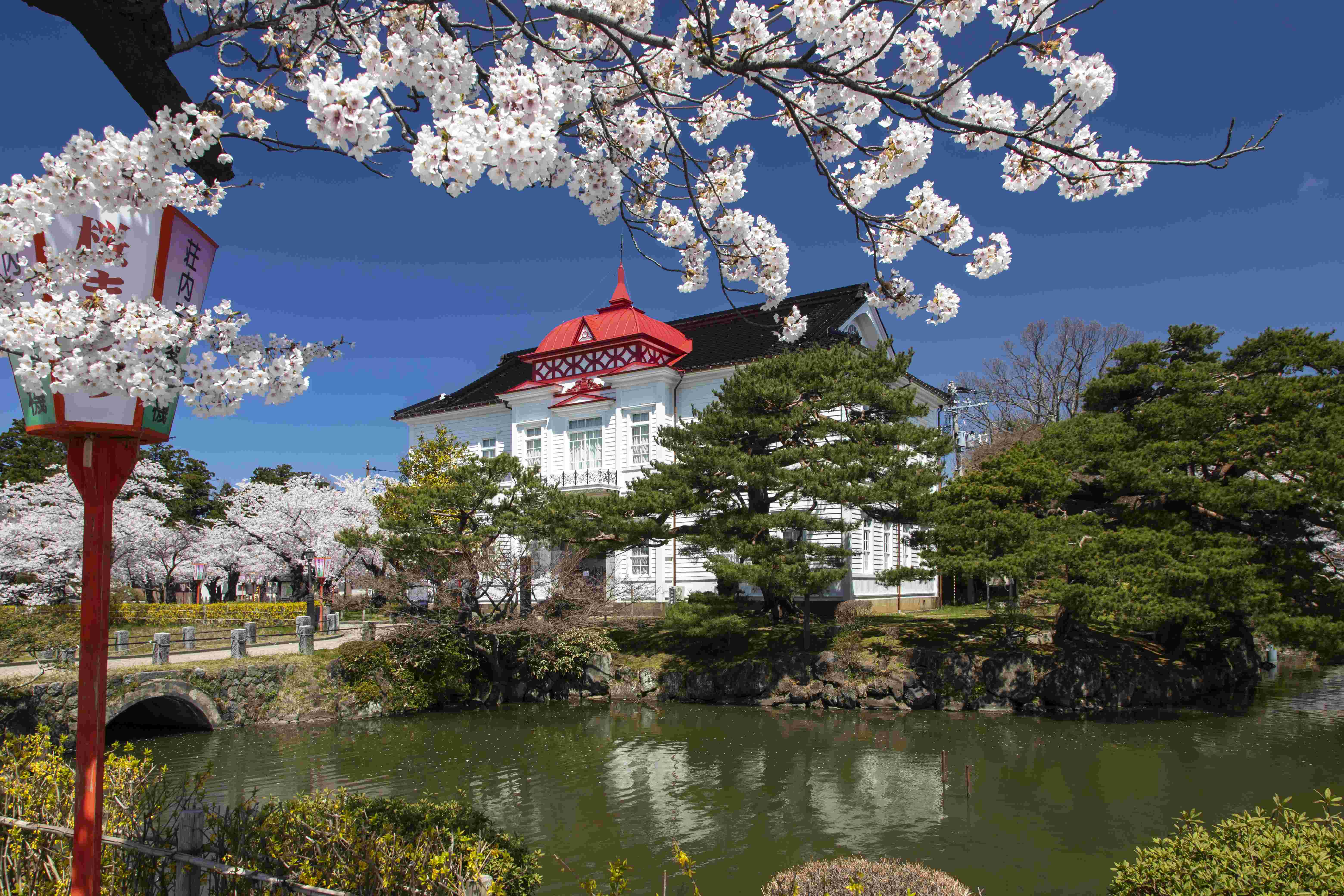 🌳 로쿠하 공원(로쿠하 코엔) 이미지 6